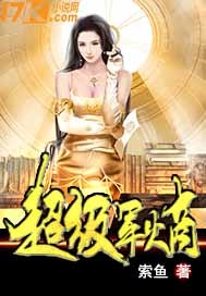 网游之暗影盗贼