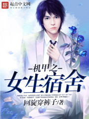 女神的贴身护卫陈扬苏晴